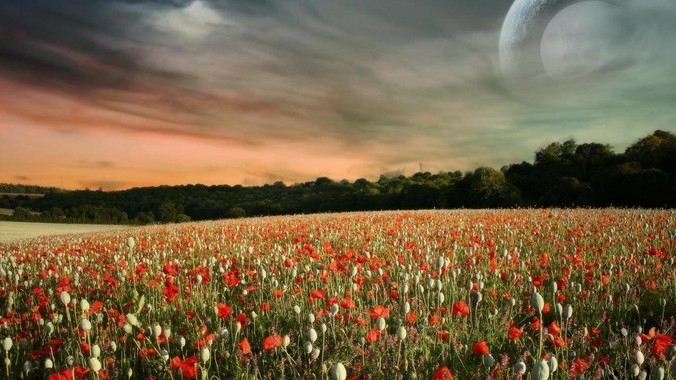 MacOS真的比Windows流畅吗?